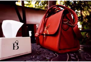 Съвети при поддръжка на дамската чанта: Как да запазим любимия си аксесоар като нов? - , Инджихар Мехмедова, Lifestyle